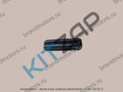����� ��� ����� 3-4 �� ��������  