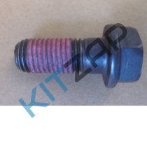 ���� �������� ����_����_0
