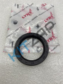 ������� ��������� �������� "����� Lynx"